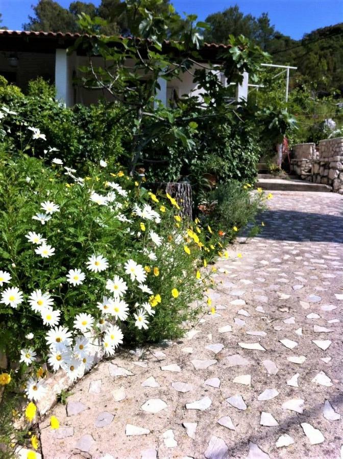 Studio Dolores-Apartment By The Sea Maranovići Eksteriør billede